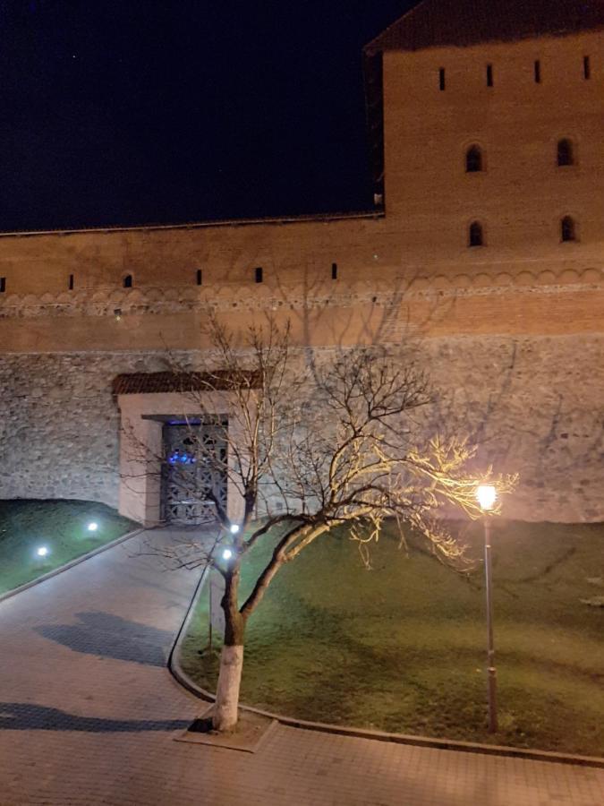Ferienwohnung La Zamka Lida Exterior foto